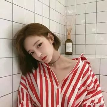 玫瑰花开